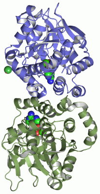 Image Asym./Biol. Unit - manually