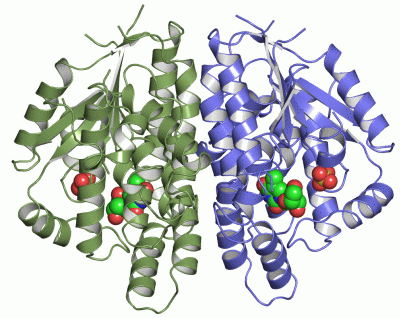 Image Asym./Biol. Unit - manually