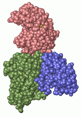 Image Asym./Biol. Unit - manually