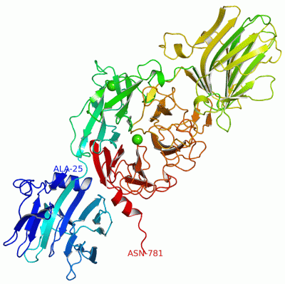 Image Asym./Biol. Unit - manually