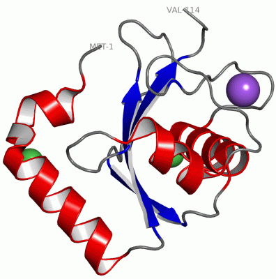 Image Asym./Biol. Unit - manually