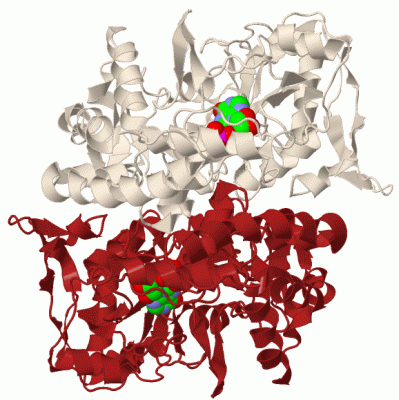 Image Biol.Unit 1 - manually