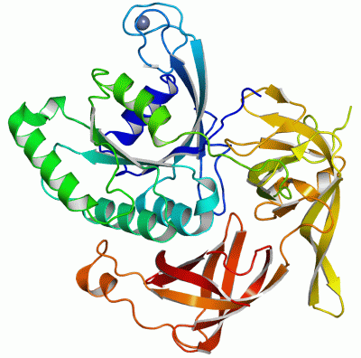 Image Asym./Biol. Unit - manually