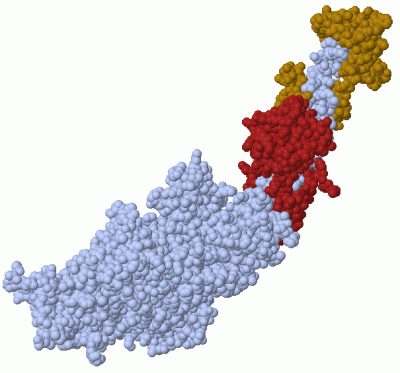 Image Asym./Biol. Unit - manually