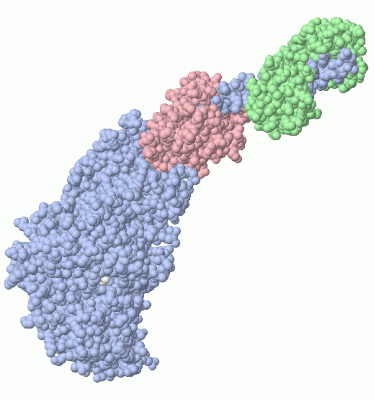 Image Asym./Biol. Unit - manually