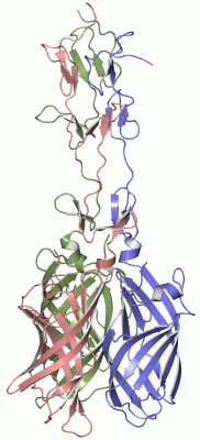 Image Asym./Biol. Unit - manually