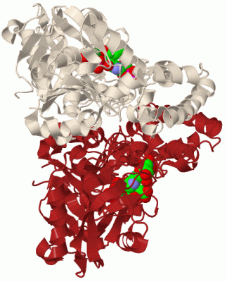 Image Biol.Unit 1 - manually