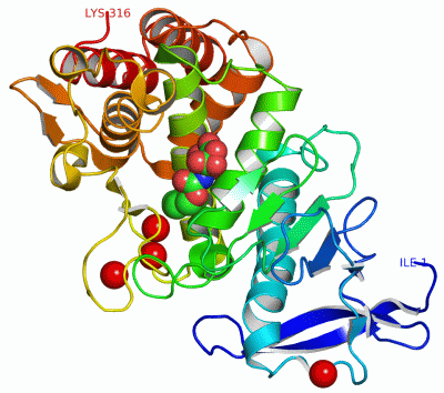 Image Asym./Biol. Unit - manually