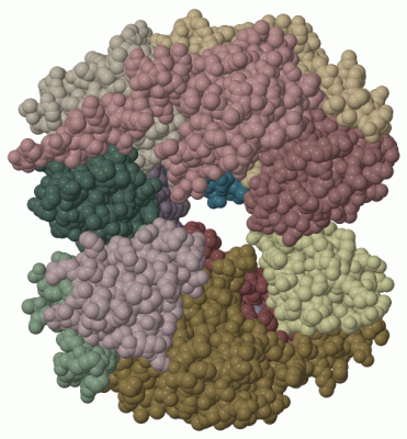 Image Biol.Unit 1 - manually