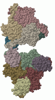 Image Biol.Unit 1 - manually