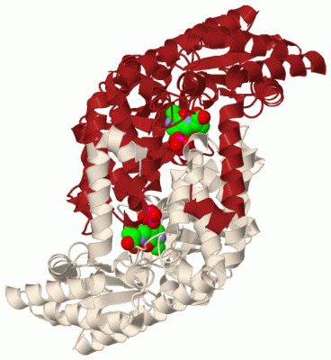 Image Biol.Unit 1 - manually