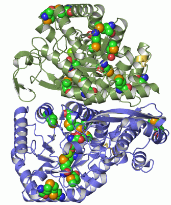 Image Asym./Biol. Unit - manually