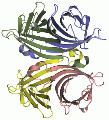 Image Asym./Biol. Unit - manually