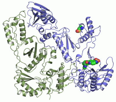 Image Asym./Biol. Unit - manually