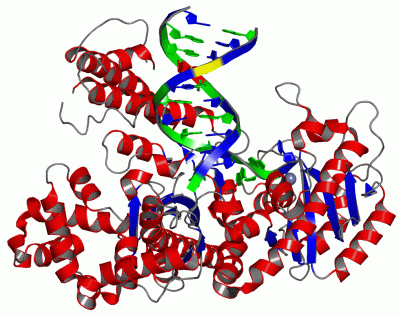 Image Asym./Biol. Unit - manually