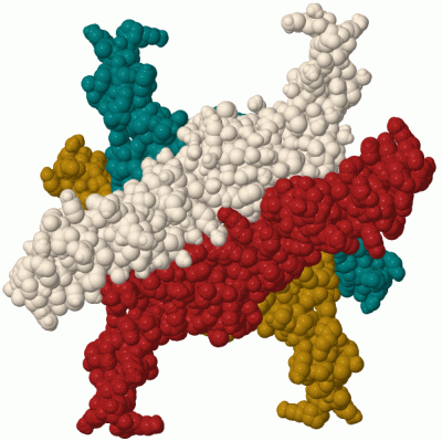 Image Biol.Unit 1 - manually