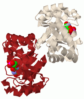 Image Biol.Unit 1 - manually