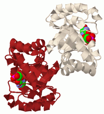 Image Biol.Unit 1 - manually