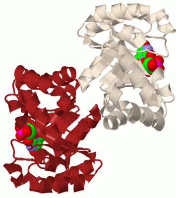 Image Biol.Unit 1 - manually