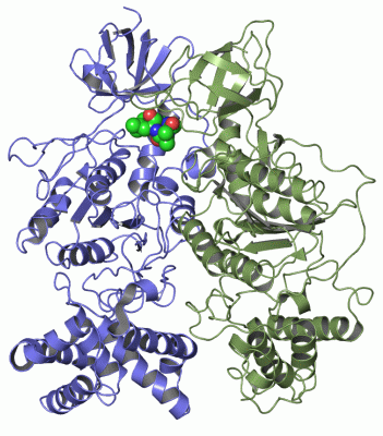 Image Asym.Unit - manually