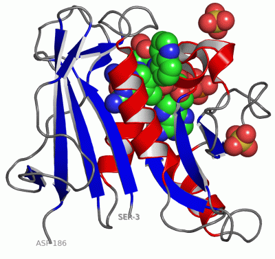 Image Asym./Biol. Unit - manually