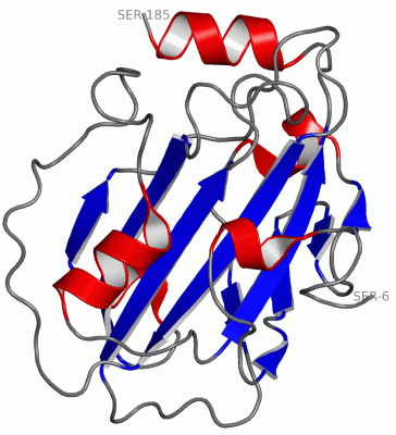 Image Asym./Biol. Unit - manually