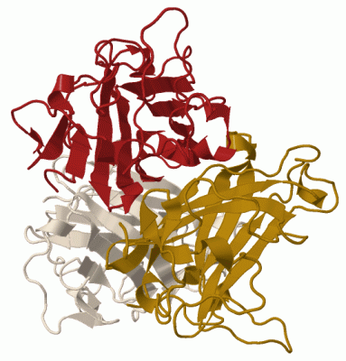 Image Biol.Unit 1 - manually