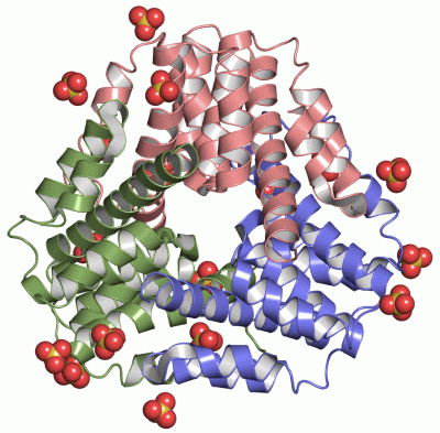 Image Asym.Unit - manually