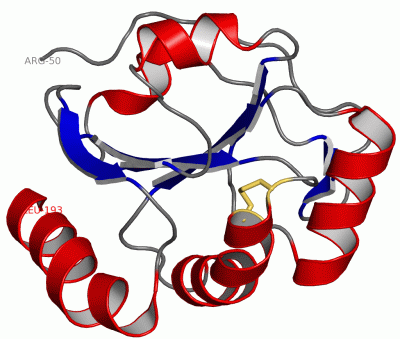 Image Asym./Biol. Unit - manually