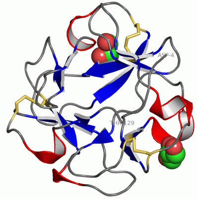 Image Asym./Biol. Unit - manually