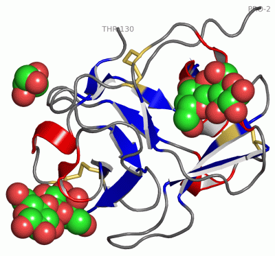 Image Asym./Biol. Unit - manually