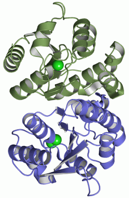 Image Asym./Biol. Unit - manually