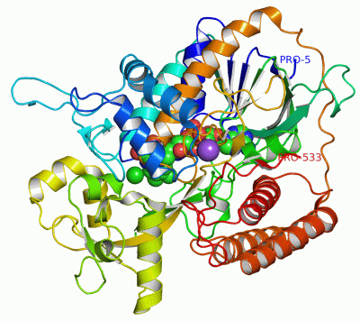 Image Asym./Biol. Unit - manually