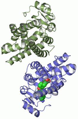 Image Asym./Biol. Unit - manually