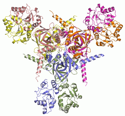 Image Asym./Biol. Unit - manually