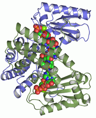 Image Asym./Biol. Unit - manually