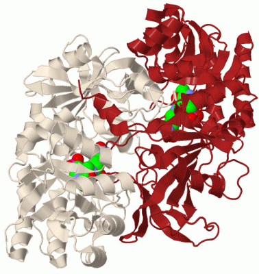 Image Biol.Unit 1 - manually