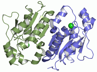 Image Asym./Biol. Unit - manually