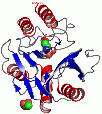 Image Asym./Biol. Unit - manually