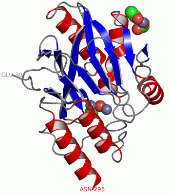 Image Asym./Biol. Unit - manually