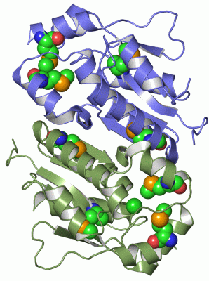 Image Asym./Biol. Unit - manually