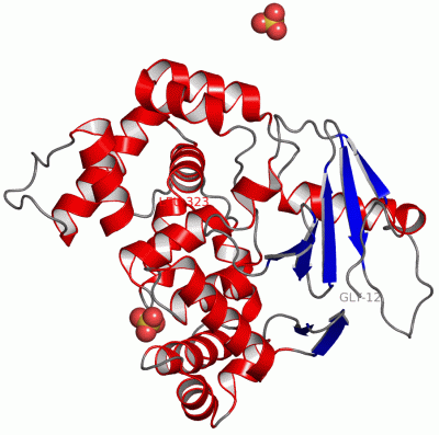 Image Asym./Biol. Unit - manually