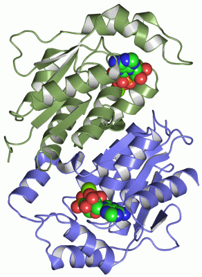 Image Asym./Biol. Unit - manually