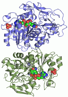 Image Asym.Unit - manually