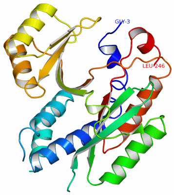 Image Asym./Biol. Unit - manually