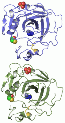 Image Asym./Biol. Unit - manually