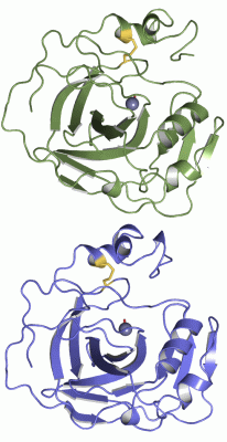 Image Asym./Biol. Unit - manually