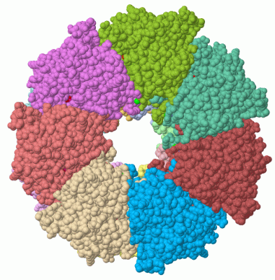 Image Asym./Biol. Unit - manually