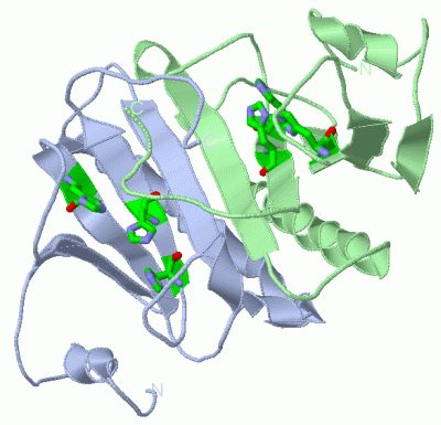 Image Asym./Biol. Unit - manually