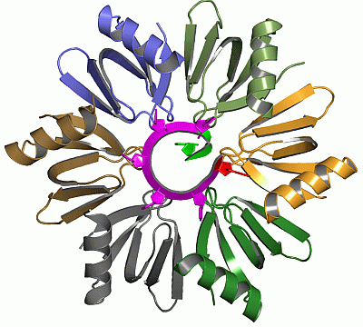 Image Asym./Biol. Unit - manually